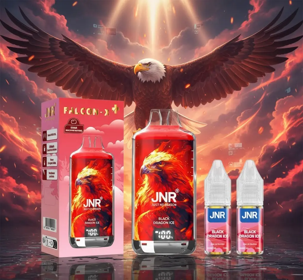 Kit Falcon X 28000 10ml (2x10ml 20mg) JNR - Saveur : Black Dragon Ice