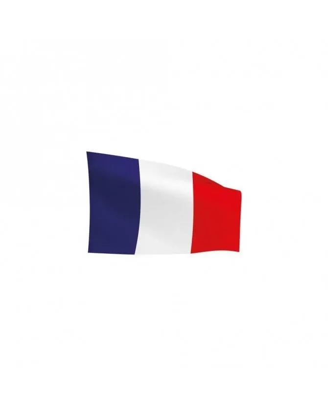 DRAPEAU FRANCE 60X90 cm