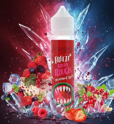 [VAP070] Fruits Rouges Freeze Liquideo 50ml 00mg